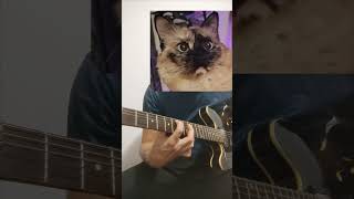 Roulette  System of a Down guitar cat soad guitarcover 2000s 00s guitarplayer [upl. by Rina]