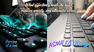 Surprise 46 ASMR Keyboard What effectively heals the heart reduces anxiety and alleviates stress [upl. by Nautna]