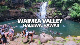 Exploring Waimea Valley amp Falls in Haleiwa HI USA Walking Tour waimeavalley waimeafalls waimea [upl. by Clayson]