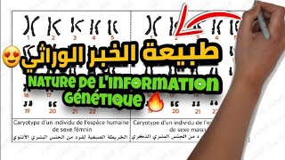 La nature de linformation génétique Partie 6 2BACSVTSPC طبيعة الخبر الوراثي ثانية بكالوريا [upl. by Nagar]