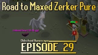 OSRS Road To Maxed Zerker Pure  Episode 29  Imbued Heart [upl. by Eanod]