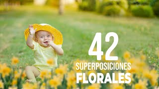 Edita tus Fotografías con 42 Superposiciones Florales GRATIS 🌸 Fácil y Rápido [upl. by Shimkus]