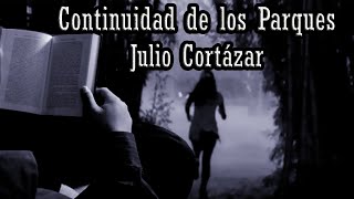 Continuidad de Los Parques de Julio Cortázar Cuento y breve análisis [upl. by Aleakcim]