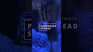 DIY Sponge for powerhead wavemaker in nano reef aquarium [upl. by Gosselin]