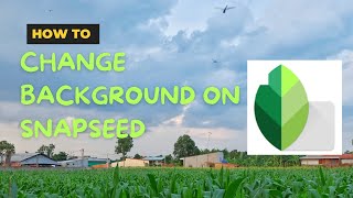 How to Change Background in Snapseed [upl. by Alyam]