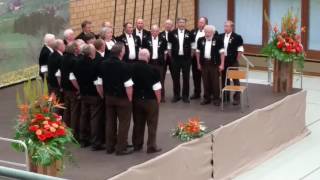 Jodlerklub Wattenwil Jodlerfest Steffisburg 2016 [upl. by Aelgna168]