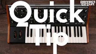 Quick Tip Pluck Bass Patch On Moog Subsequent 37 Tutorial [upl. by Eerej]