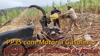 Ensiladeira PP35 com Motor a Gasolina [upl. by Isidoro231]