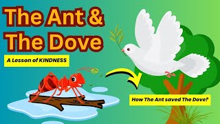 The Ant and the DoveLesson of Kindness KidzDen4bedtime stories moral stories [upl. by Ocihc]