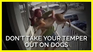 When Humans Have Temper Tantrums amp Outbursts Dogs Can Suffer [upl. by Athena]