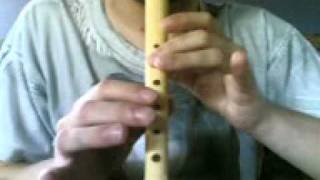 How to play Legend of Zeldas Main Theme with recorder flute flauta [upl. by Atteirneh497]