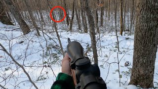 Tracking and Shooting a HUGE 10 POINT Big Woods Buck on Snow  Public Land  Mountain Hunting [upl. by Niarb]