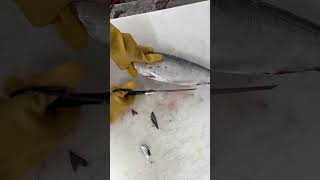 pescado el bonito para encebollado [upl. by Lekram264]