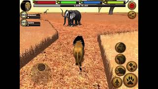 Defeating the war elephant  Ultimate lion simulator [upl. by Alake]