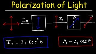 Polarization of light Problems Malus Law  Intensity amp Amplitude  Physics [upl. by Nomyt127]