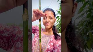 আজ ছিপ দিয়ে মাছ ধরলাম😍video minivlog shortvideo youtubeshorts agriculture viralvideo fish [upl. by Blount]