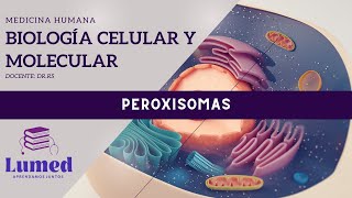 Biología Celular y Molecular  Peroxisomas [upl. by Kahn]