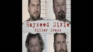 Hayseed Dixie  Eine Kleine Trinkmusic [upl. by Anairo]