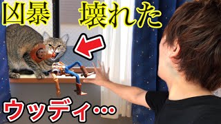 【閲覧注意】凶暴な動物が部屋に入ってきてトイストーリーのウッディがボロボロにされました… [upl. by Nonnaihr737]