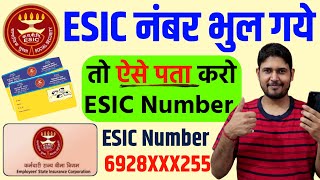 अपना ESIC नंबर कैसे पता करें  esic number kaise pata kare  esic number kaise nikale  esic number [upl. by Yror]