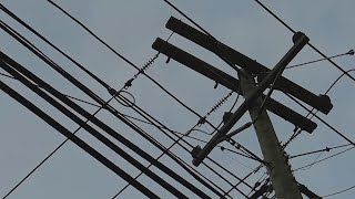 Customers unhappy with latest PURA rate hike on electricity bills [upl. by Ardella799]