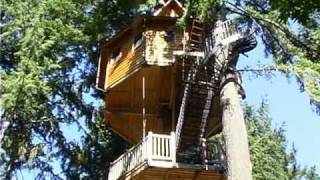 Treehouses in Takilma Oregon by Xplore Film [upl. by Onahpets]