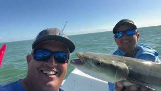 Pescando En La Bahía de Biscayne [upl. by Shue]