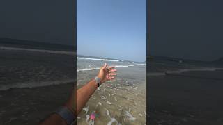 Diveagar Beach 🏖️ Kokan Maharashtra Nature Kokan Vibes youtubeshorts kokan beach travel [upl. by Lhary614]