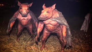 Top 20 Crossbreeding Experiments That Went Horribly Wrong [upl. by Leirud]