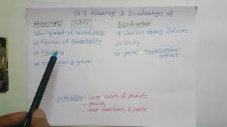 Ch 5 Divisional structure advantages and disadvantages [upl. by Obnukotalo]