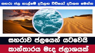 සහරා කාන්තාරය ජලයෙන් යටවෙයි  දුර්ලභ වීඩියෝ දර්ශන මෙන්න [upl. by Schaffel843]