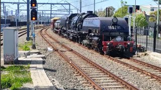 NSWGR 6029 Steam train and 4501 assisting Transport Heritage NSW expo shuttles at Sydenham 3092023 [upl. by Cogen]