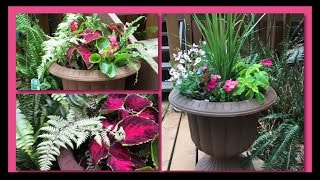 DIY Mixed Shade Garden Planter Pots [upl. by Marentic]