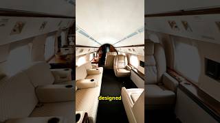 Experience American Airlines First Class Ultimate Luxury in the Sky [upl. by Va279]