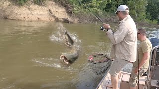 Pecanje soma na reci Savi kod Lonjskog polja u Hrvatskoj II deo  Fishing catfish in river Sava [upl. by Emilio861]