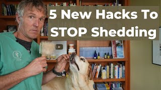 Dog Shedding Solutions Discover 5 New Remedies That Actually Work [upl. by Ahsiloc]