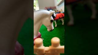 Schleich Horse lover Short Video [upl. by Ayiram821]