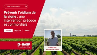 Prévenir loïdium de la vigne  une intervention précoce est primordiale [upl. by Pomfrey373]