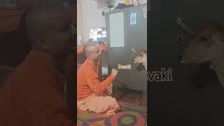 Gau seva bvg kutamshortvideo sanatan [upl. by Moulden]