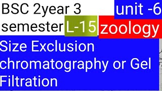 BSC 2nd year 3 semester zoology topic Size Exclusion chromatography o Gel filtration [upl. by Nassah255]