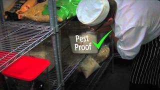 Food safety coaching Part 3 Pest control [upl. by Veronika588]