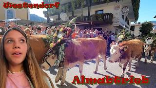 WESTENDORF ALMABTRIEB vlog 186 [upl. by Eetnom]