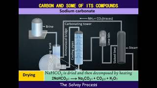 The solvay process [upl. by Omari137]