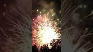 Happy Diwali Everyone shorts shortsvideo Guy fawkes day nz aucklandnz fireworks [upl. by Sotos33]