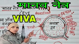 मानव नेत्र human eye viva questions manav netra viva questions class12thphysicspractical [upl. by Ilrebmyk384]