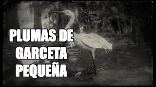 Red Dead Redemption 2 – ¿Cómo conseguir plumas de Garceta pequeña Little Egret [upl. by Kanter326]