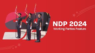 NDP 2024  Working Parties Feature [upl. by Cornwall]