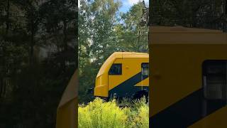 Wheel sound of Škoda 16Ev train 🇱🇻 [upl. by Fancy]