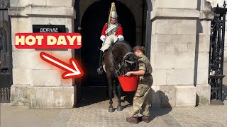 Hot Day in London Kings Guards Horses Given Extra Water During Duty [upl. by Trygve213]