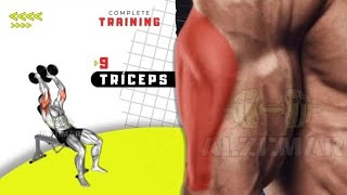 9 Melhores Exercícios de Tríceps Aumente a Força e a Definição dos Seus Braços 💪🔥 [upl. by Seuqirdor]